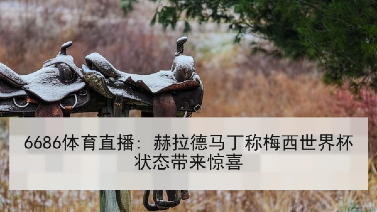6686体育直播: 赫拉德马丁称梅西世界杯状态带来惊喜